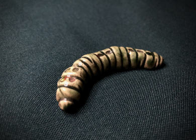 Чайный Собеседник "Гусеница Малая Зелёная"